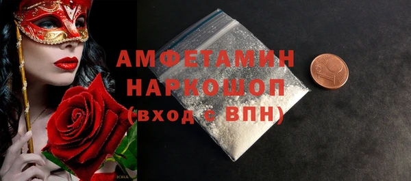 мет Алексин